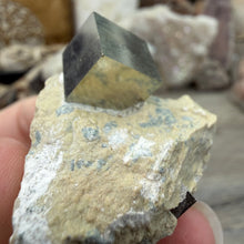 Bild in Galerie-Viewer laden, Cubic Pyrite on Matrix from Spain #11
