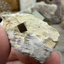 Bild in Galerie-Viewer laden, Cubic Pyrite on Matrix from Spain #11
