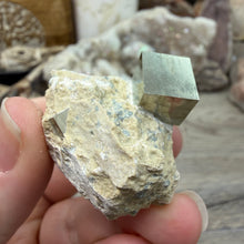 Bild in Galerie-Viewer laden, Cubic Pyrite on Matrix from Spain #11
