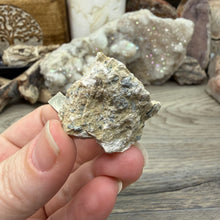 将图像加载到图库查看器中，Cubic Pyrite on Matrix from Spain #12

