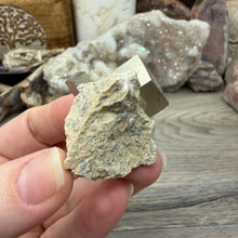 将图像加载到图库查看器中，Cubic Pyrite on Matrix from Spain #12
