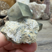将图像加载到图库查看器中，Cubic Pyrite on Matrix from Spain #12

