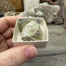 将图像加载到图库查看器中，Cubic Pyrite on Matrix from Spain #12
