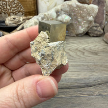 将图像加载到图库查看器中，Cubic Pyrite on Matrix from Spain #13

