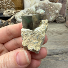 将图像加载到图库查看器中，Cubic Pyrite on Matrix from Spain #13
