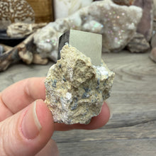 将图像加载到图库查看器中，Cubic Pyrite on Matrix from Spain #13

