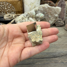 将图像加载到图库查看器中，Cubic Pyrite on Matrix from Spain #13
