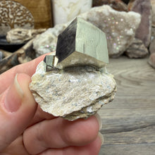 Cargar imagen en el visor de la galería, Cubic Pyrite on Matrix from Spain #14
