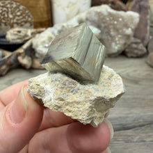 Cargar imagen en el visor de la galería, Cubic Pyrite on Matrix from Spain #14
