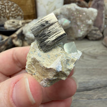 Cargar imagen en el visor de la galería, Cubic Pyrite on Matrix from Spain #14
