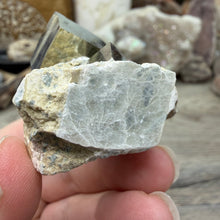 Cargar imagen en el visor de la galería, Cubic Pyrite on Matrix from Spain #14
