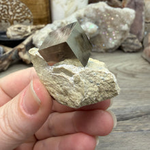 Cargar imagen en el visor de la galería, Cubic Pyrite on Matrix from Spain #15
