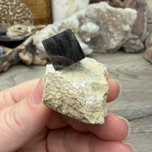 Cargar imagen en el visor de la galería, Cubic Pyrite on Matrix from Spain #15
