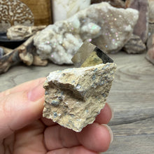 Cargar imagen en el visor de la galería, Cubic Pyrite on Matrix from Spain #15

