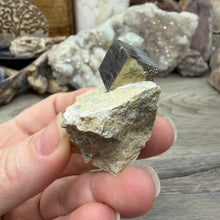 Cargar imagen en el visor de la galería, Cubic Pyrite on Matrix from Spain #15
