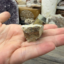 Cargar imagen en el visor de la galería, Cubic Pyrite on Matrix from Spain #15

