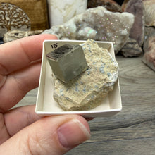 Cargar imagen en el visor de la galería, Cubic Pyrite on Matrix from Spain #15
