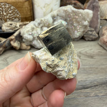 Cargar imagen en el visor de la galería, Cubic Pyrite on Matrix from Spain #16
