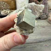 Cargar imagen en el visor de la galería, Cubic Pyrite on Matrix from Spain #16

