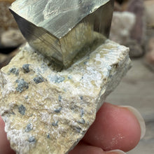 Cargar imagen en el visor de la galería, Cubic Pyrite on Matrix from Spain #16
