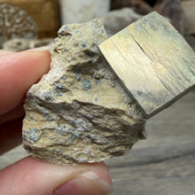 Cargar imagen en el visor de la galería, Cubic Pyrite on Matrix from Spain #16
