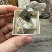Cargar imagen en el visor de la galería, Cubic Pyrite on Matrix from Spain #16
