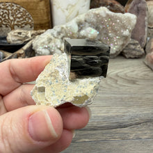 将图像加载到图库查看器中，Cubic Pyrite on Matrix from Spain #17
