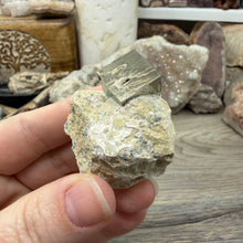 Cargar imagen en el visor de la galería, Cubic Pyrite on Matrix from Spain #18
