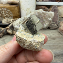 Cargar imagen en el visor de la galería, Cubic Pyrite on Matrix from Spain #18
