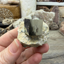 Cargar imagen en el visor de la galería, Cubic Pyrite on Matrix from Spain #18
