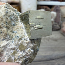 Cargar imagen en el visor de la galería, Cubic Pyrite on Matrix from Spain #18
