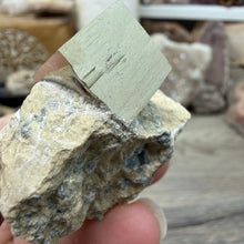 Cargar imagen en el visor de la galería, Cubic Pyrite on Matrix from Spain #18
