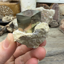 将图像加载到图库查看器中，Cubic Pyrite on Matrix from Spain #19
