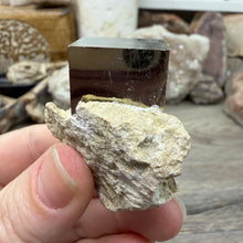 将图像加载到图库查看器中，Cubic Pyrite on Matrix from Spain #19
