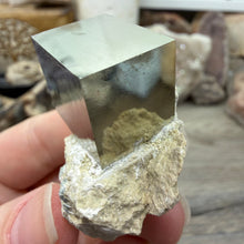 将图像加载到图库查看器中，Cubic Pyrite on Matrix from Spain #19
