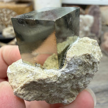 将图像加载到图库查看器中，Cubic Pyrite on Matrix from Spain #19
