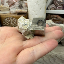 将图像加载到图库查看器中，Cubic Pyrite on Matrix from Spain #19
