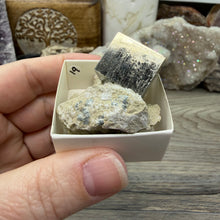将图像加载到图库查看器中，Cubic Pyrite on Matrix from Spain #19
