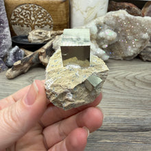Cargar imagen en el visor de la galería, Cubic Pyrite on Matrix from Spain #20
