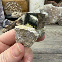 Cargar imagen en el visor de la galería, Cubic Pyrite on Matrix from Spain #20
