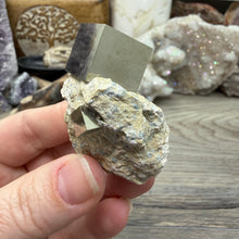 Cargar imagen en el visor de la galería, Cubic Pyrite on Matrix from Spain #20
