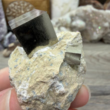 Cargar imagen en el visor de la galería, Cubic Pyrite on Matrix from Spain #20
