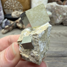 Cargar imagen en el visor de la galería, Cubic Pyrite on Matrix from Spain #20
