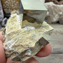 Cargar imagen en el visor de la galería, Cubic Pyrite on Matrix from Spain #20
