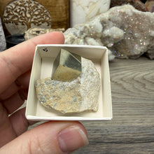 Load image into Gallery viewer, Cubic Pyrite on Matrix from Spain #05
