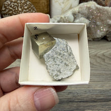 Bild in Galerie-Viewer laden, Cubic Pyrite on Matrix from Spain #02
