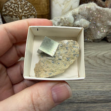 Load image into Gallery viewer, Cubic Pyrite on Matrix from Spain #01
