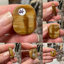 Load image into Gallery viewer, Petrified Wood 1&quot; Coins

