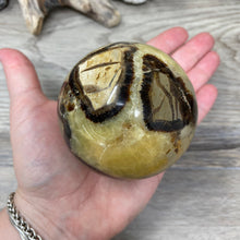 Carica l&#39;immagine nel visualizzatore di Gallery, Septarian 2.88&quot; / 73mm Sphere
