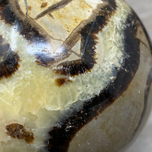 Carica l&#39;immagine nel visualizzatore di Gallery, Septarian 2.88&quot; / 73mm Sphere
